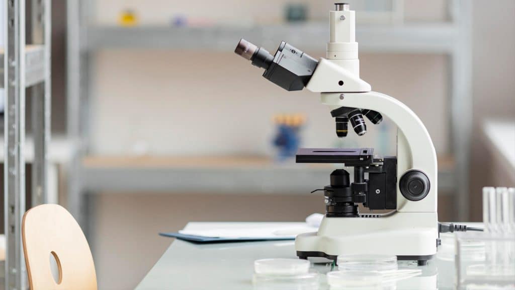 DNa analýza